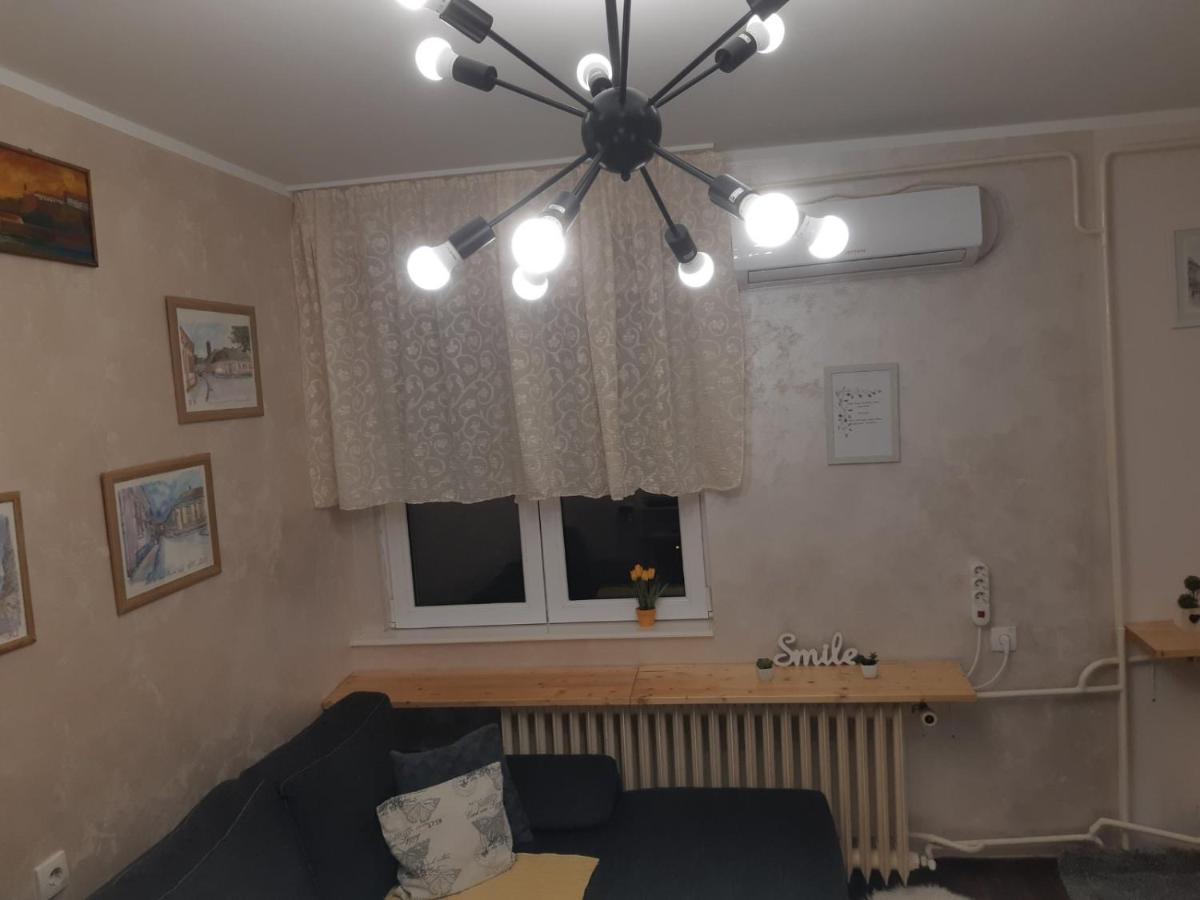 Sweet Home Danube Liman Apartment ノヴィ・サド エクステリア 写真