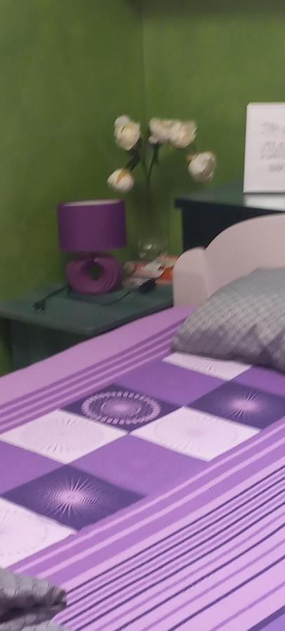 Sweet Home Danube Liman Apartment ノヴィ・サド エクステリア 写真