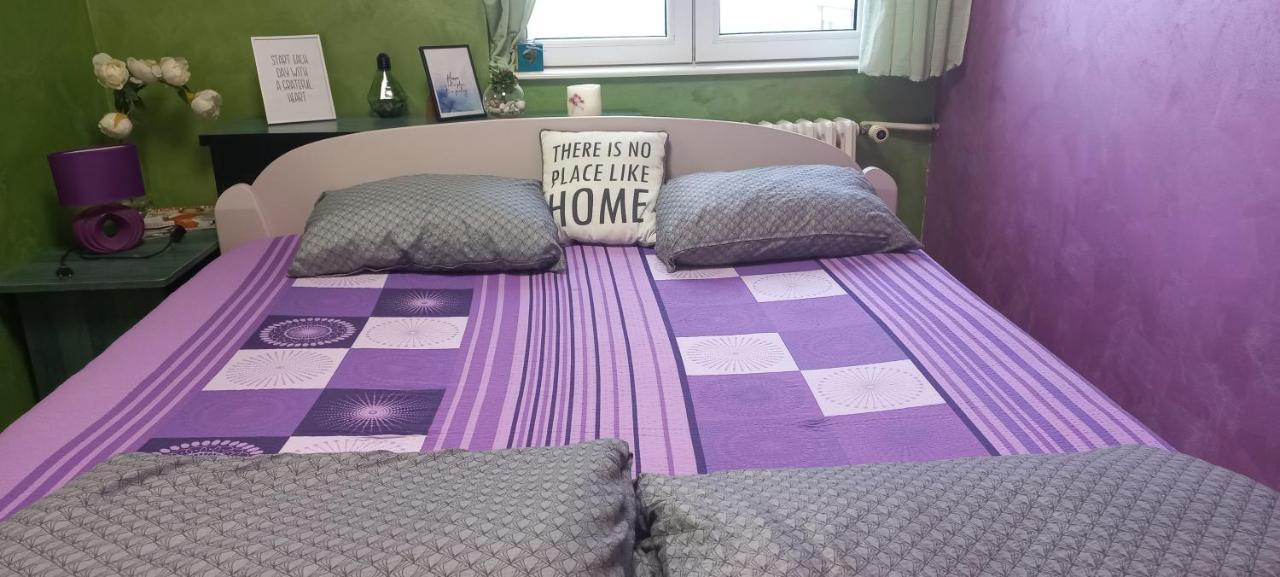 Sweet Home Danube Liman Apartment ノヴィ・サド エクステリア 写真