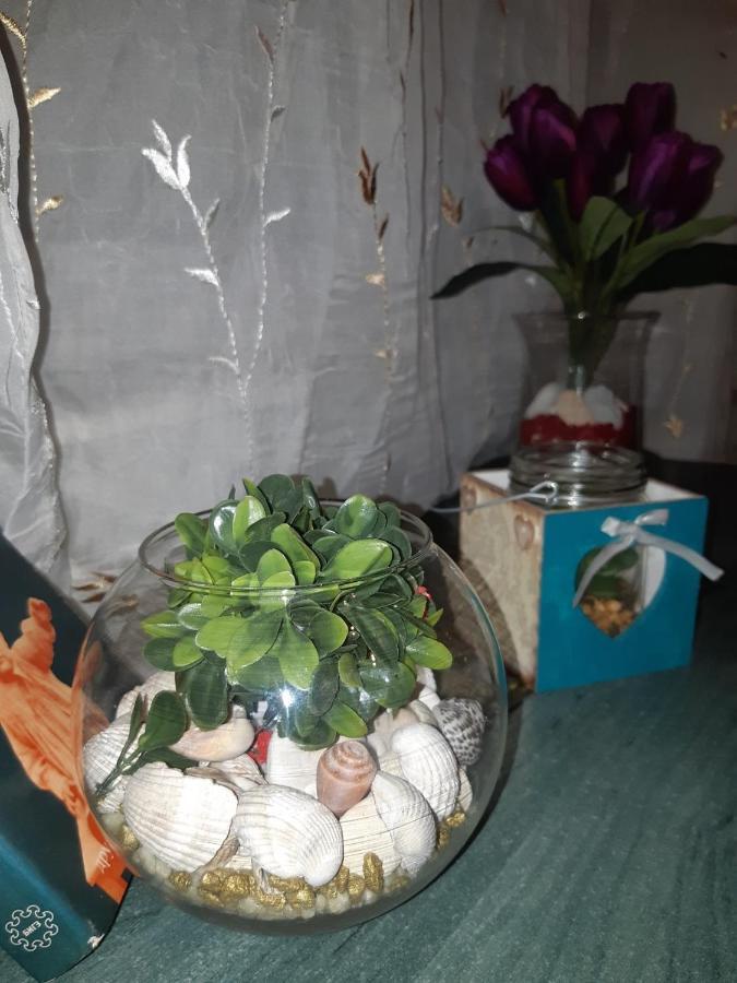 Sweet Home Danube Liman Apartment ノヴィ・サド エクステリア 写真