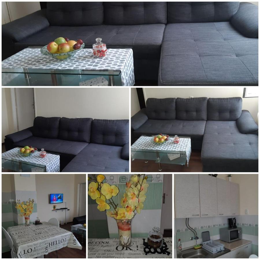 Sweet Home Danube Liman Apartment ノヴィ・サド エクステリア 写真