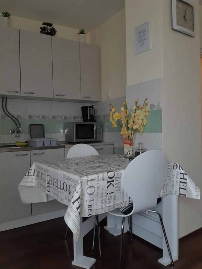 Sweet Home Danube Liman Apartment ノヴィ・サド エクステリア 写真