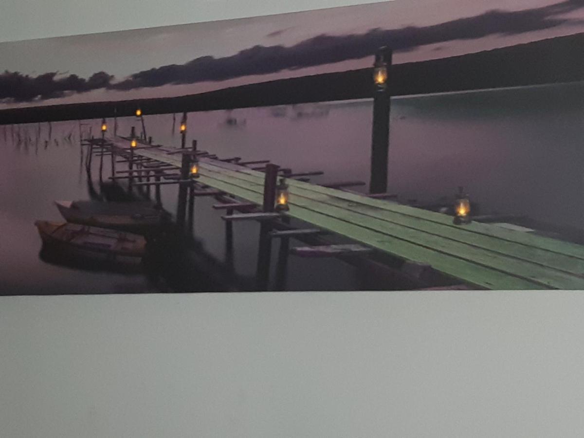 Sweet Home Danube Liman Apartment ノヴィ・サド エクステリア 写真