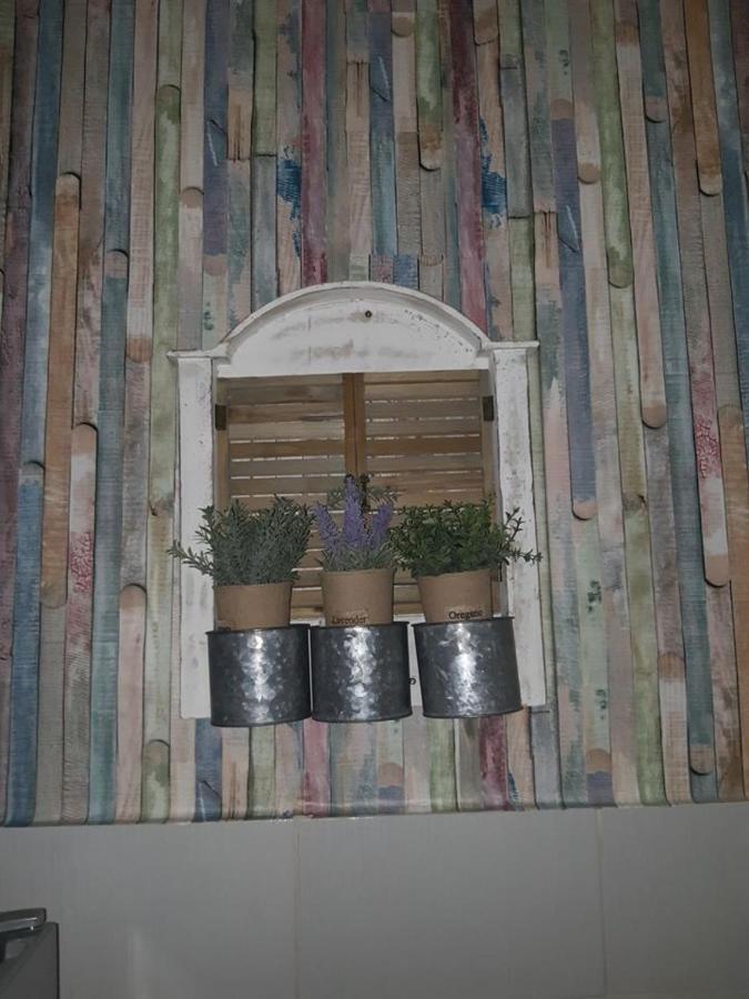 Sweet Home Danube Liman Apartment ノヴィ・サド エクステリア 写真
