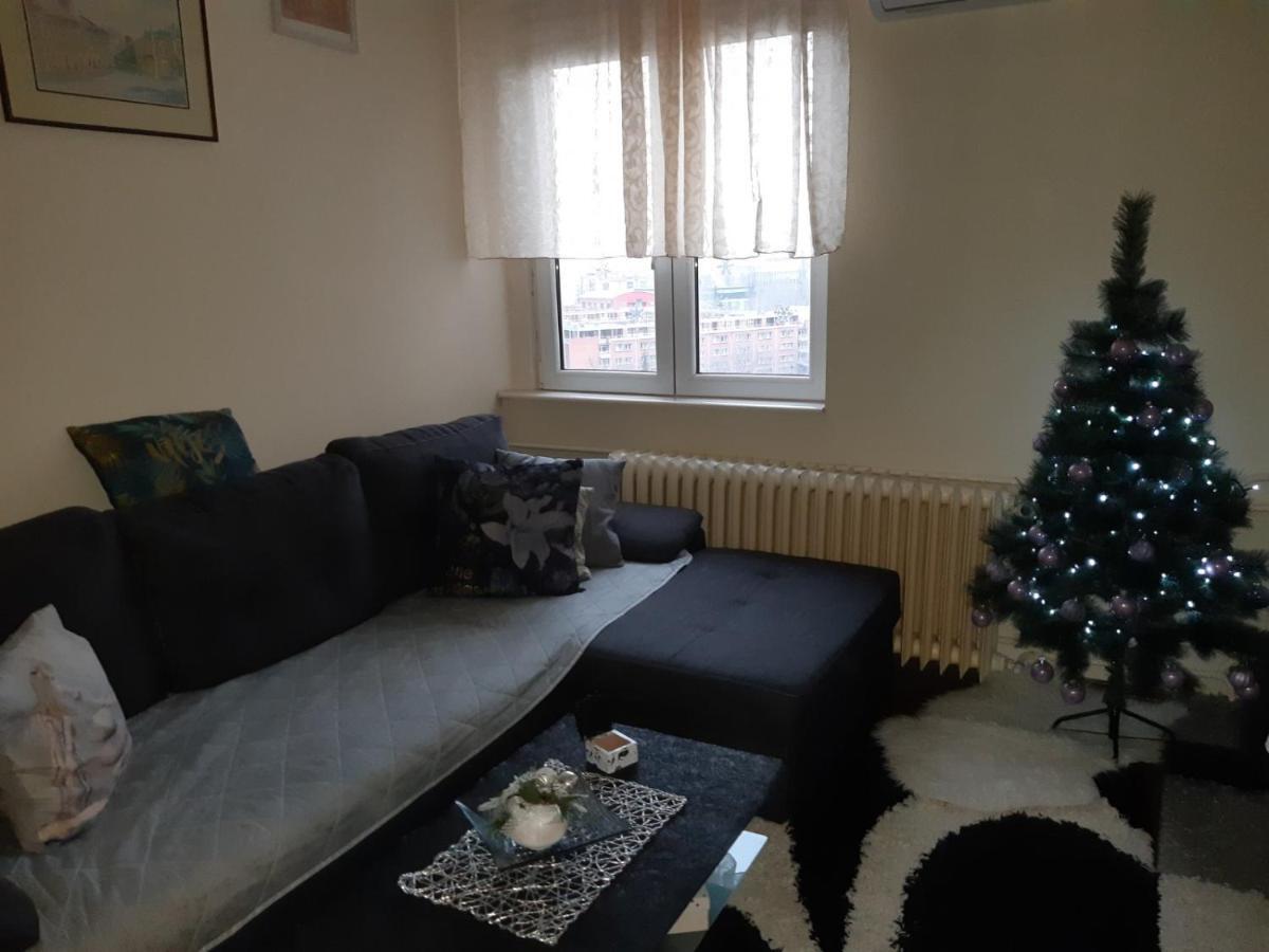 Sweet Home Danube Liman Apartment ノヴィ・サド エクステリア 写真