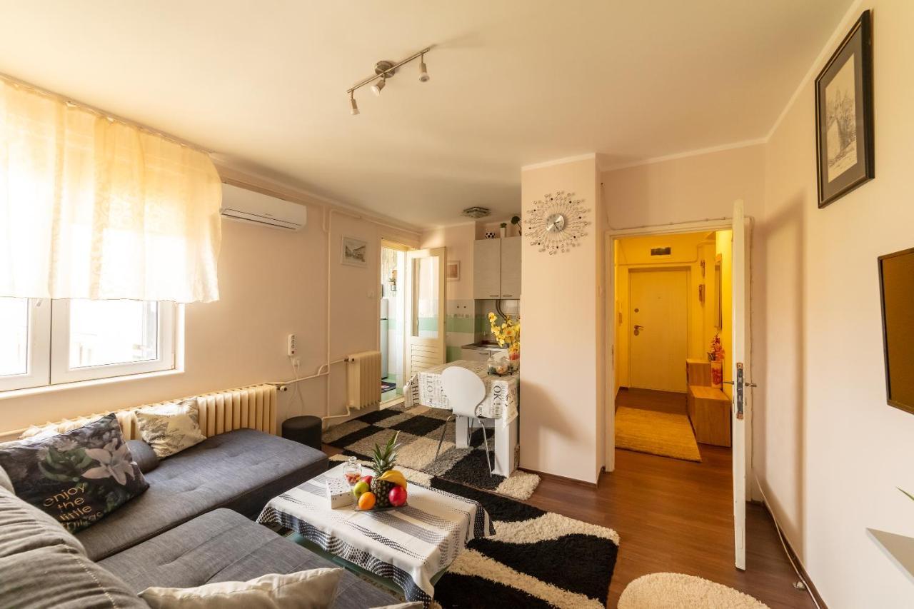 Sweet Home Danube Liman Apartment ノヴィ・サド エクステリア 写真