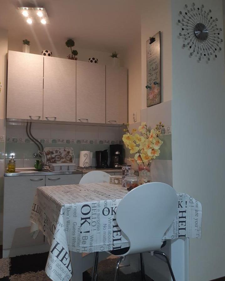 Sweet Home Danube Liman Apartment ノヴィ・サド エクステリア 写真